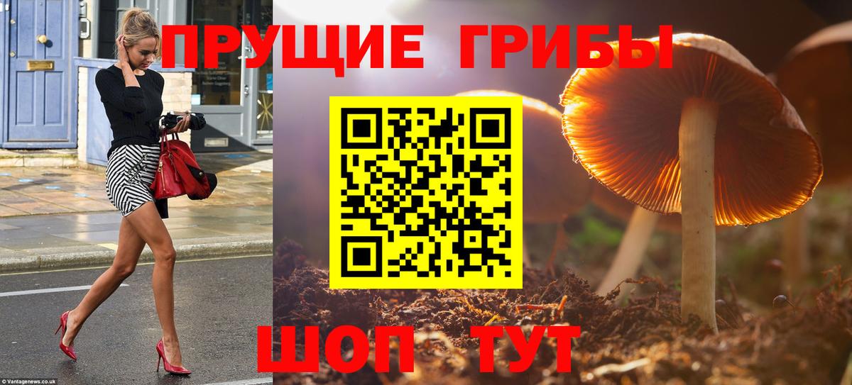 Псилоцибиновые грибы ЛСД Набережные Челны