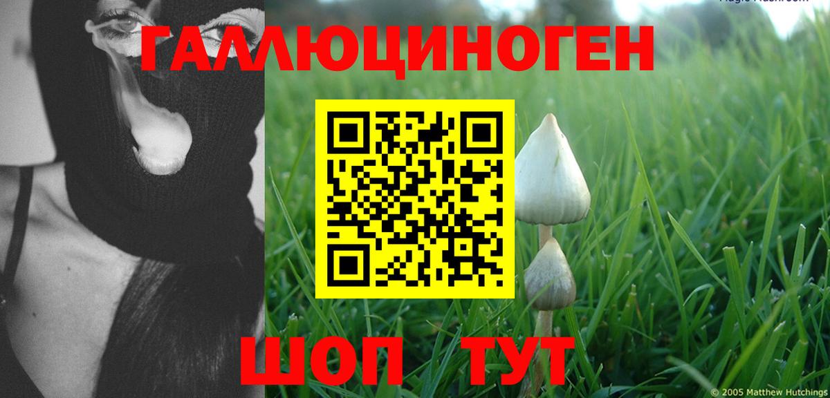 Галлюциногенные грибы Psilocybine cubensis  Галлюциногенные грибы Magic Shrooms  Вход с VPN  Набережные Челны 